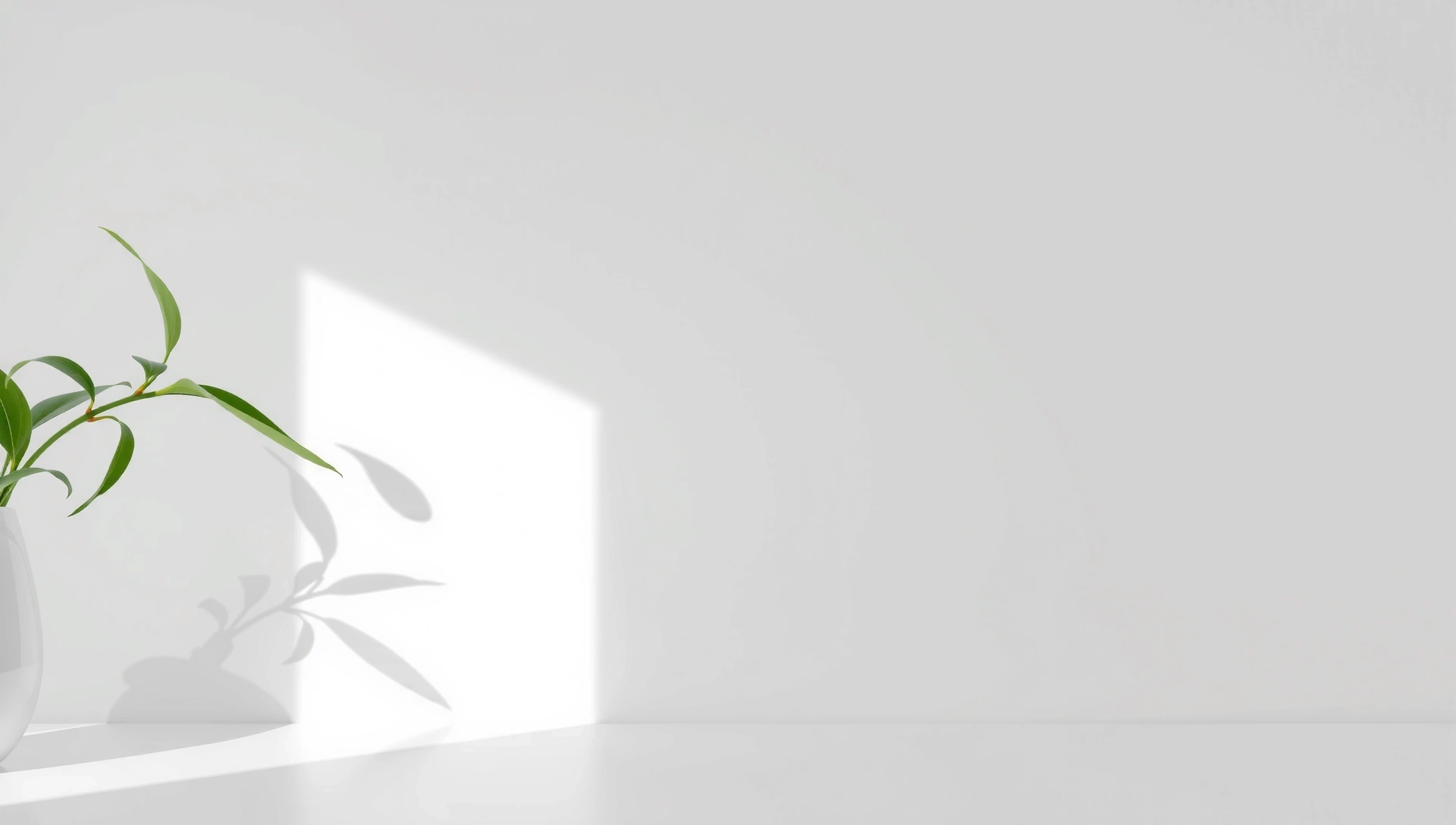 Fondo abstracto de bienestar natural con luz suave y elementos orgánicos